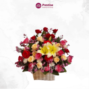 Bunga Meja - Malang - 2