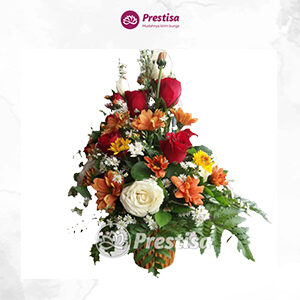 Bunga Meja - Pangkal Pinang - 2