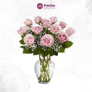 Bunga Meja - Pangkal Pinang -341