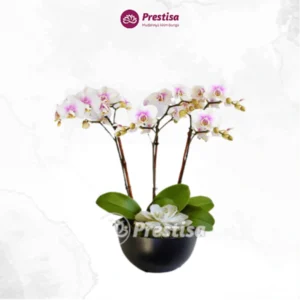 KARANGAN BUNGA - BUNGA MEJA – MAKASSAR – 2