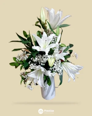 Bunga Meja Indonesia - Lily - 13