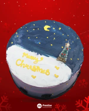 Christmas Cake - Christmas 2022 - 03