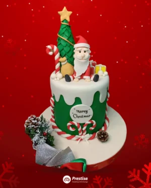 Christmas Cake - Christmas 2022 - 09
