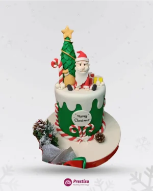 Christmas Cake - Christmas 2022 - 09