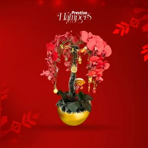 Bunga Meja – Natal – Indonesia – 026