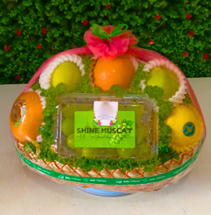 PARCEL BUAH - SEMARANG - 14