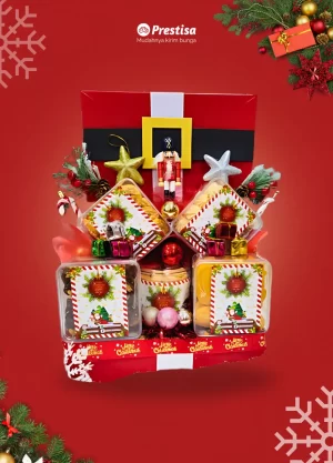 Santa's Secret Cookie Parcel - 011