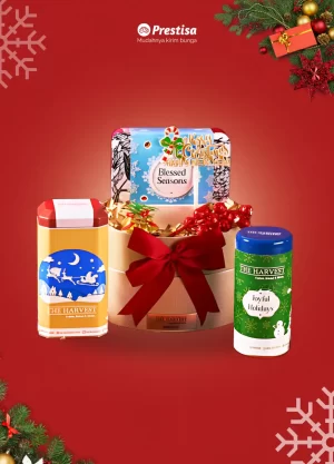 Santa's Secret Cookie Parcel - 005