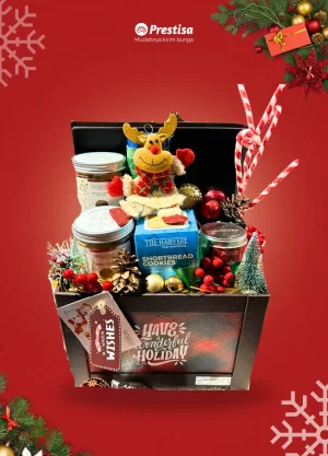 Santa's Secret Cookie Parcel - 006