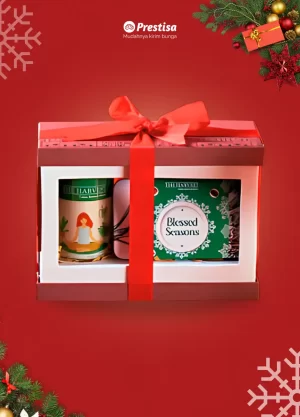 Santa's Secret Cookie Parcel - 007