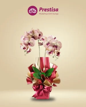 Anggrek Artificial - Jakarta Selatan - New - 001