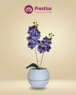 Anggrek Artificial - Kota Bandung - New - 004