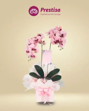 Anggrek Artificial - Jakarta Selatan - New - 003