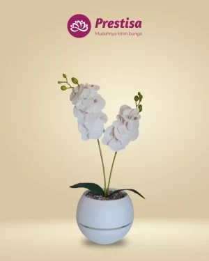 Anggrek Artificial - Kota Bandung - New - 003