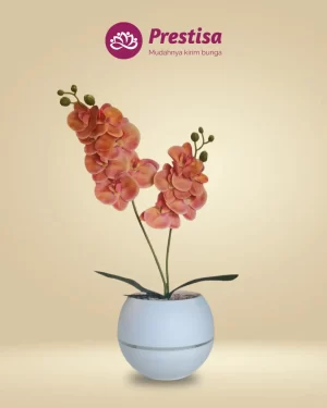 Anggrek Artificial - Kota Bandung - New - 002