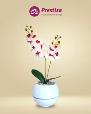 Anggrek Artificial - Kota Bandung - New - 001