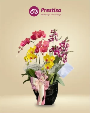 Anggrek Fresh - Kota Bandung - New - 001