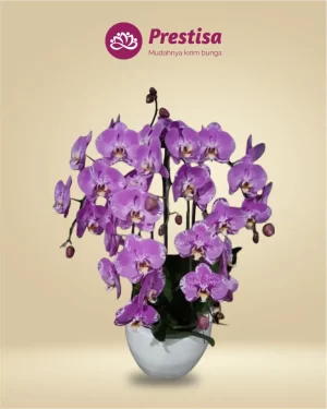 Anggrek Fresh - Kota Bandung - New - 006