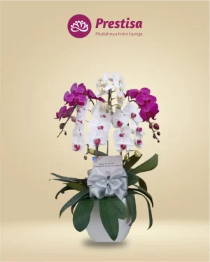 Anggrek Fresh - Kota Bandung - New - 005