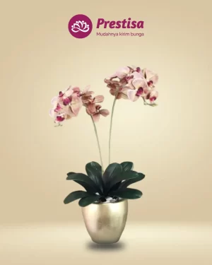 Anggrek Artificial - Jakarta Selatan - New - 008