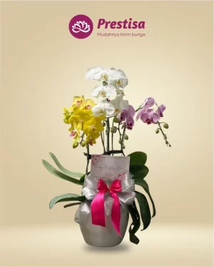 Anggrek Fresh - Kota Bandung - New - 003