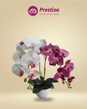 Anggrek Artificial - Jakarta Pusat - New - 001