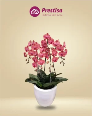 Anggrek Fresh - Kota Bandung - New - 004