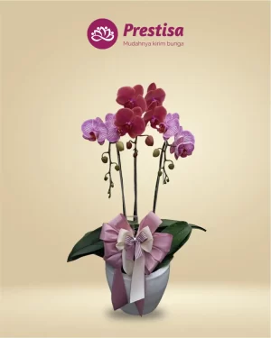 Anggrek Fresh - Kota Bandung - New - 002