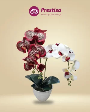 Anggrek Artificial - Jakarta Pusat - New - 006