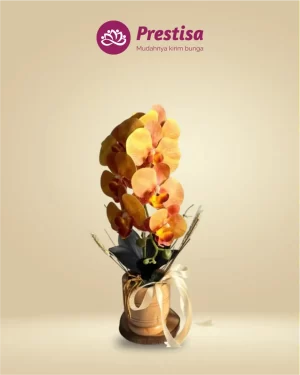 Anggrek Artificial - Jakarta Timur - New - 005