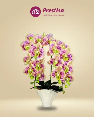 Anggrek Artificial - Jakarta Barat - New - 010