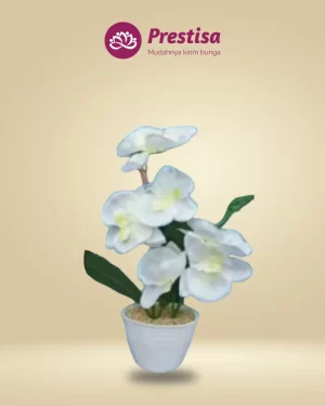 Anggrek Artificial - Jakarta Barat - New - 003