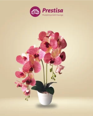 Anggrek Artificial - Jakarta Pusat - New - 003