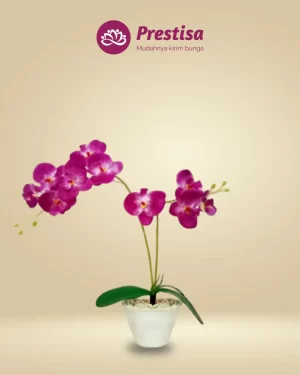 Anggrek Artificial - Jakarta Barat - New - 004