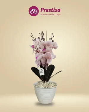 Anggrek Artificial - Kota Bandung - New - 008
