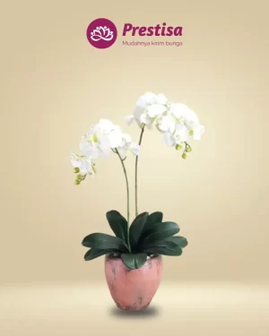 Anggrek Artificial - Jakarta Selatan - New - 007