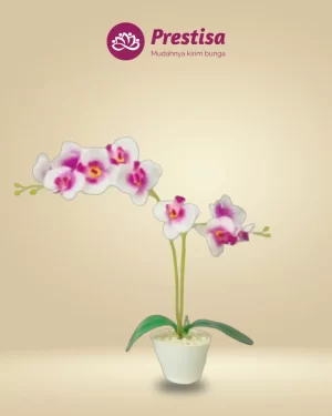Anggrek Artificial - Jakarta Barat - New - 005