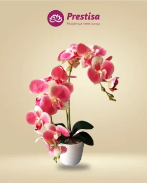 Anggrek Artificial - Jakarta Pusat - New - 005
