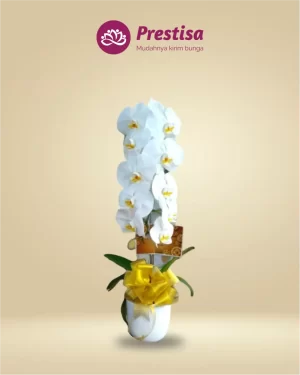 Anggrek Fresh - Jakarta Timur - New - 001