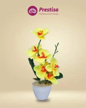 Anggrek Artificial - Jakarta Barat - New - 001