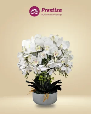 Anggrek Artificial - Jakarta Barat - New - 006