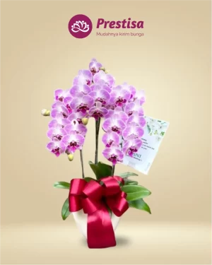 Anggrek Fresh - Jakarta Timur - New - 004