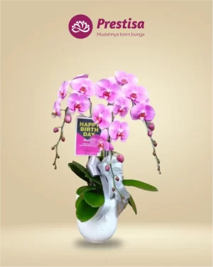 Anggrek Fresh - Jakarta Timur - New - 003