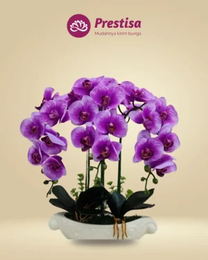 Anggrek Artificial - Jakarta Barat - New - 009