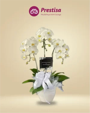 Anggrek Fresh - Jakarta Timur - New - 010