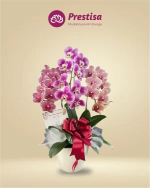 Anggrek Fresh - Jakarta Timur - New - 009