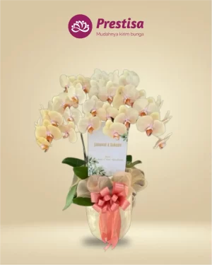 Anggrek Fresh - Jakarta Timur - New - 008