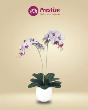 Anggrek Artificial - Jakarta Selatan - New - 006