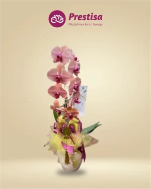 Anggrek Fresh - Jakarta Timur - New - 006