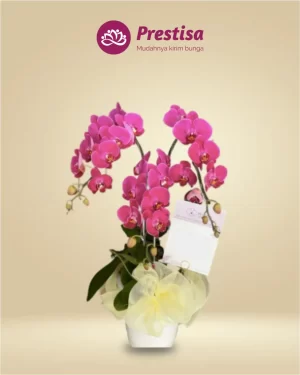 Anggrek Fresh - Jakarta Utara - New - 002